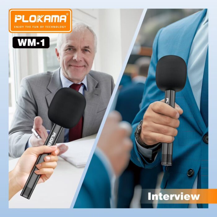 Plokama WM-1 Handheld Wireless Microphone Stick (Mic Not Included) - Image 2
